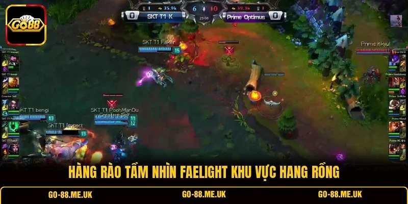 Hàng rào tầm nhìn Faelight khu vực hang Rồng Hàng rào tầm nhìn Faelight khu vực hang Rồng